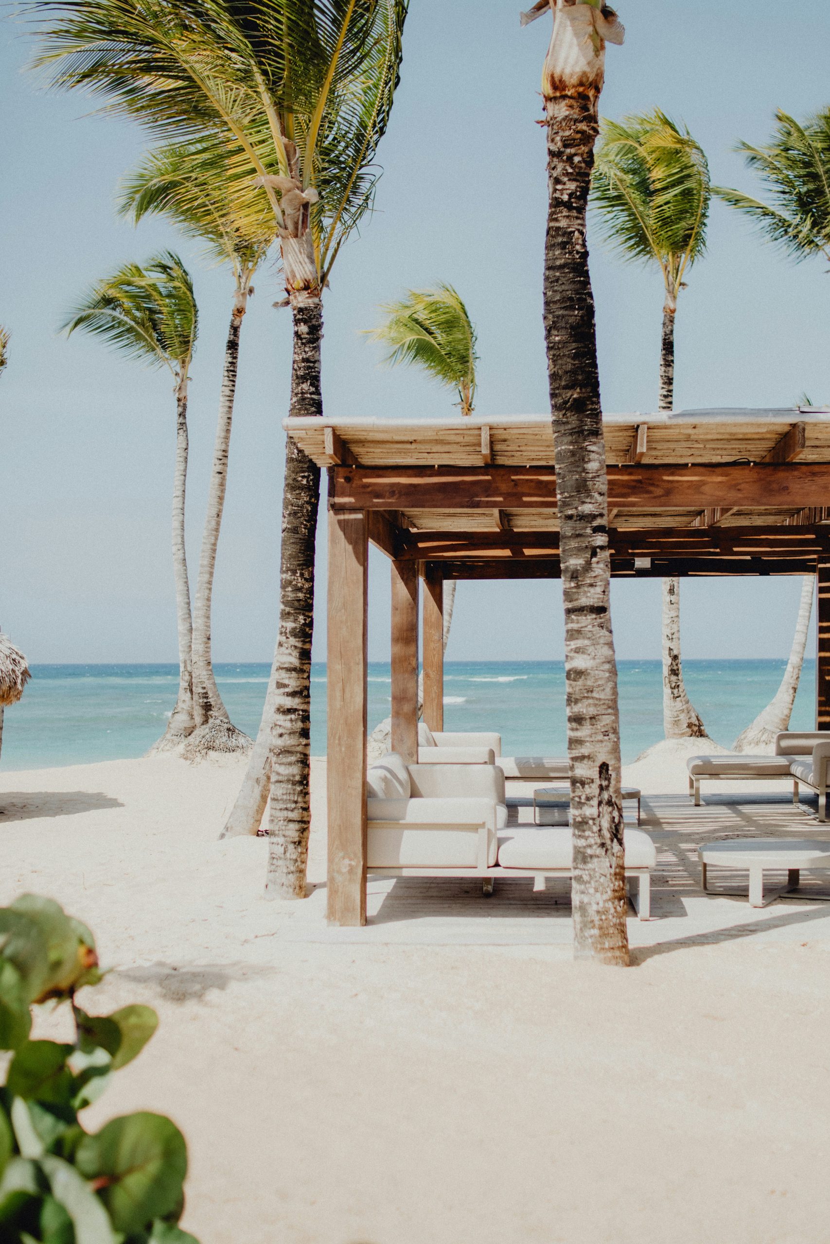 Zona lounge frente al mar en Punta Cana con palmeras y playa Caribe, reflejo del estilo de vida premium y la inversión inmobiliaria.