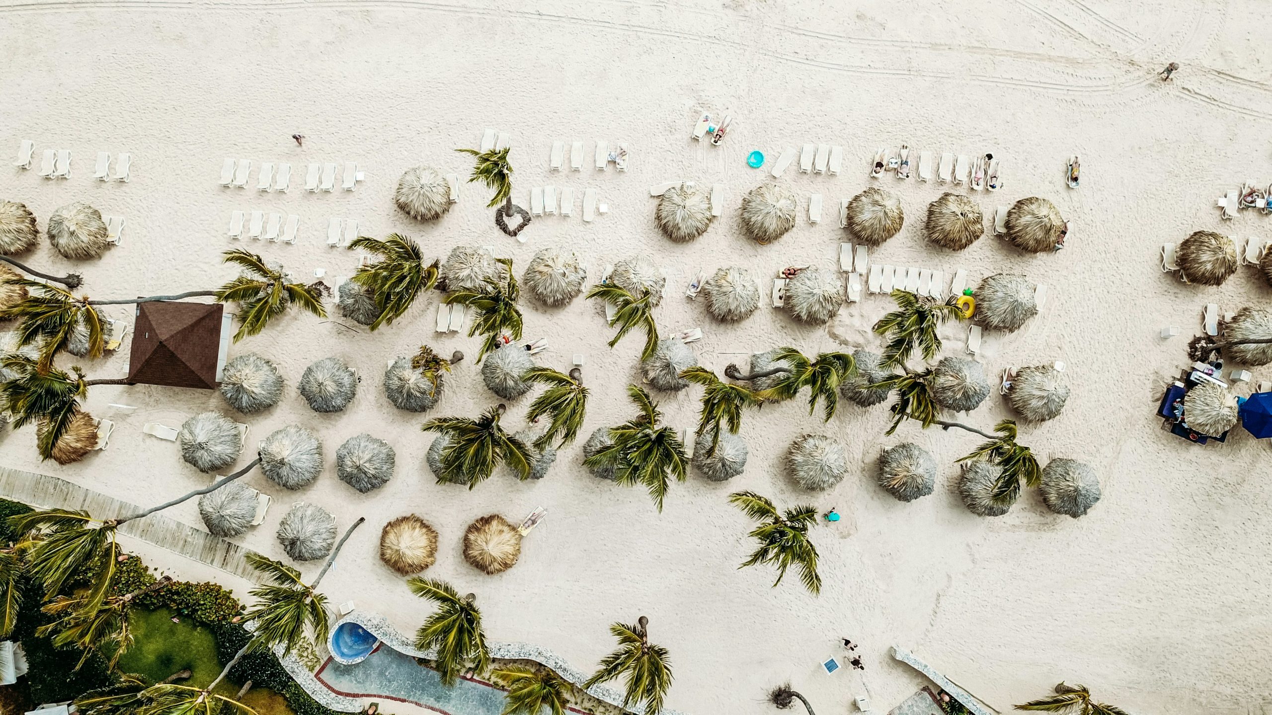 Vista aérea de playa en Punta Cana con palmeras y zonas turísticas, ejemplo del crecimiento del turismo y la valorización inmobiliaria en el Caribe.
