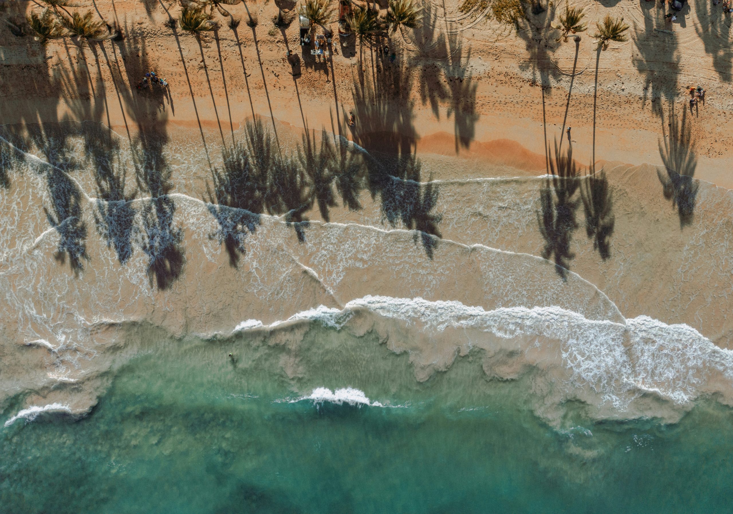Vista aérea de playa en Punta Cana con palmeras y mar Caribe, entorno seguro y atractivo para inversión inmobiliaria extranjera.