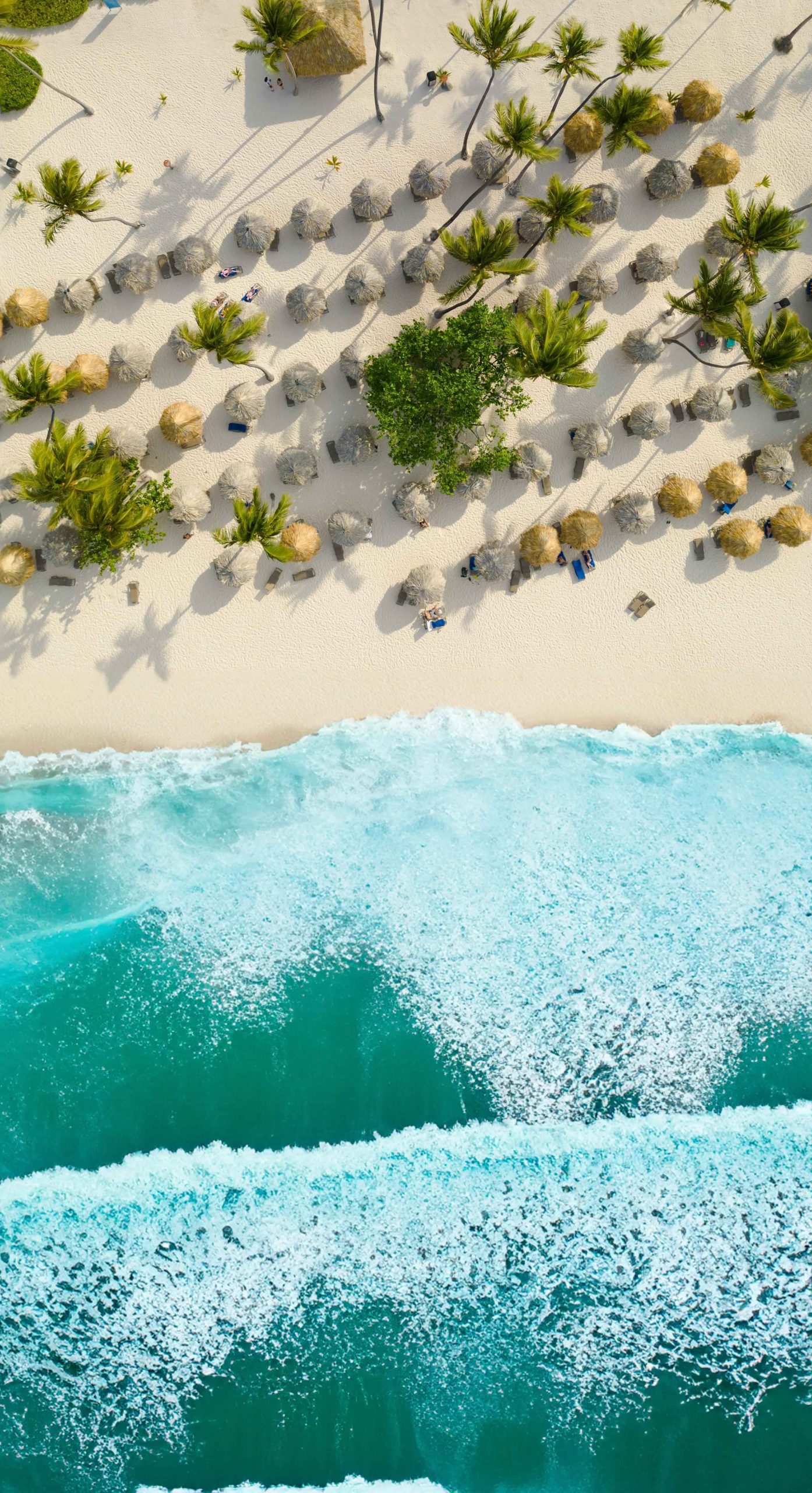 Vista aérea de playa caribeña con arena blanca, palmeras y sombrillas de palma.