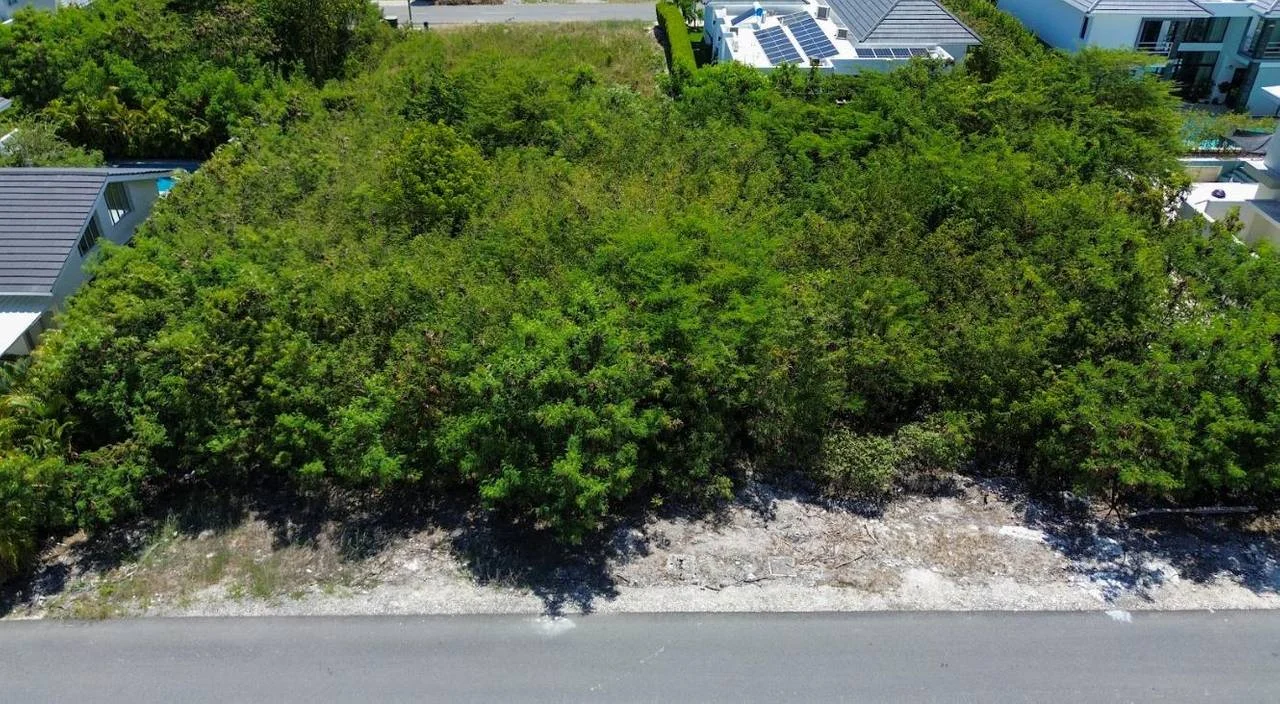 Fotografía 6 · Solar e Venta en Punta Cana Village - República Dominica