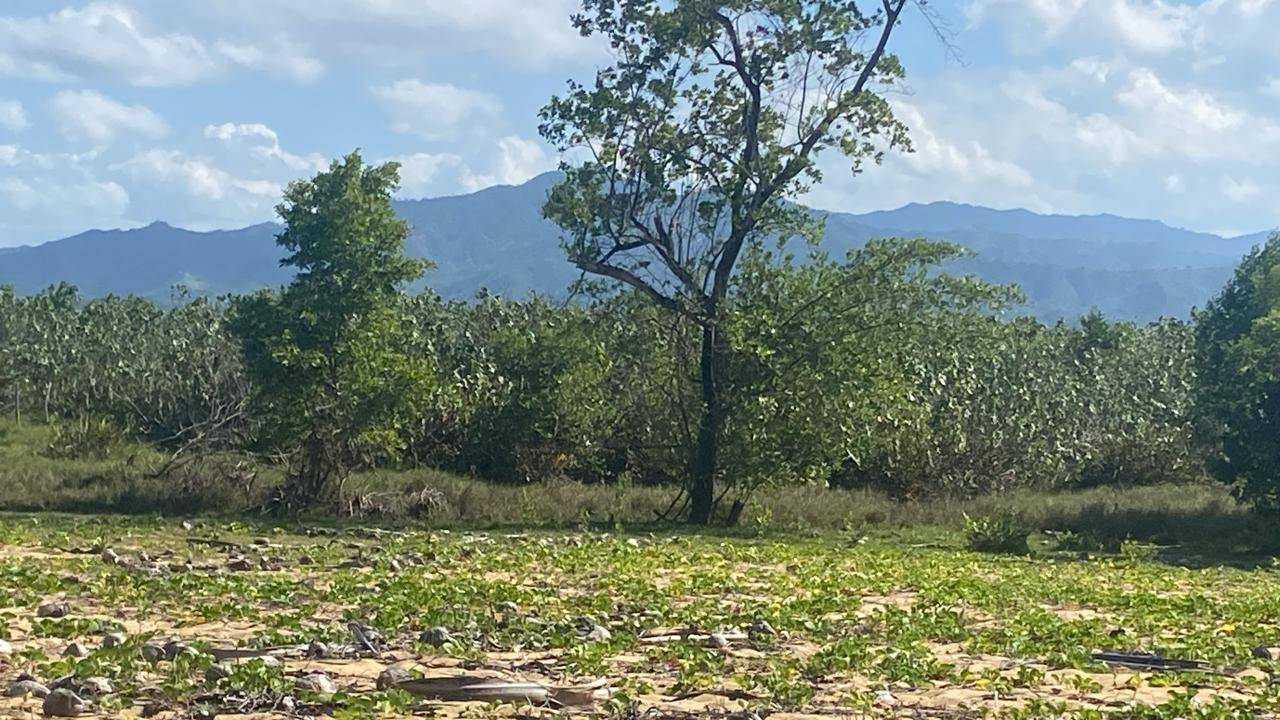 Fotografía 2 · Exclusivo Solar en Venta - Miches